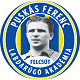 Team logo